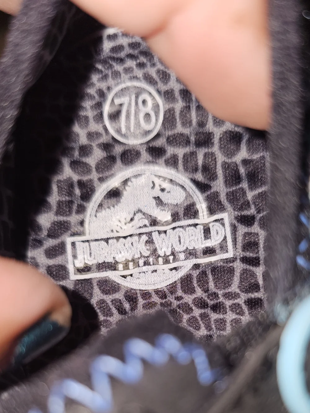 Jurassic World Kids' Light Blue Water Shoes